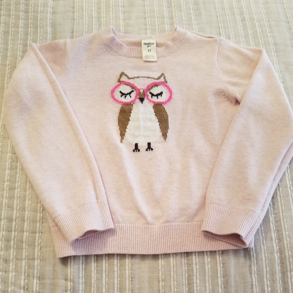 Light pink adorable owl sweater